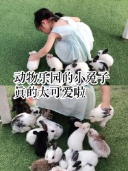 -萌宠亲子动物乐园(槐房万达店)