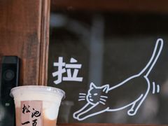 -松池一夏咖啡商铺