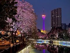 -红星桥(地铁站)