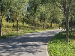 -东郊湿地公园