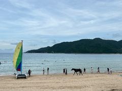 -后海村