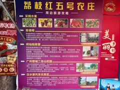 -荔枝红五号农庄