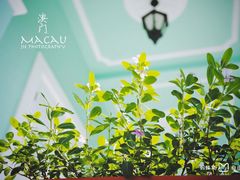 -龙环葡韵住宅式博物馆