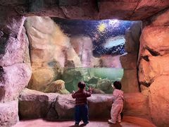 -沈阳海洋探索中心