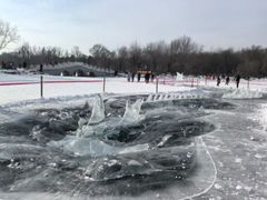 -长春市南湖公园