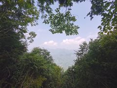 -塔云山