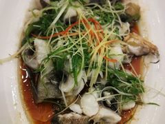 葱油淋珍珠斑-御彩酒家(东风东路店)