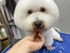 -瑞鹏宠物医院·骨科·猫科·内科(第一中心)