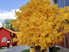 -龙湖杭州滨江天街