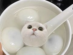 -叁拾壹克饺子·东北菜(国贸店)