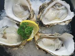 -马家斑.鲜鱼火锅(松湖万科店)