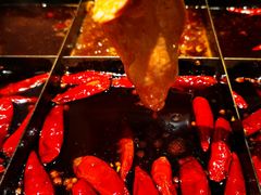 -胖碗火锅(观音桥店)