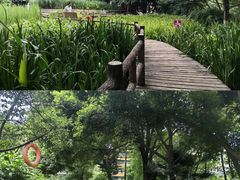 -成都市活水公园