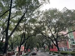 -江西科技师范大学(枫林校区)