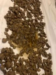 -姜美堂·蒸姜除湿の纤体美颜馆