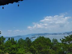 -小团圆灶台鱼·百城头牌菜(千岛湖店)