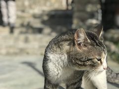 -梅黛奥拉修道院