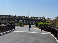 -东平国家森林公园