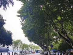 -浙江省博物馆(孤山馆区)