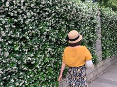 -汉口江滩-五福广场