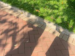 -深圳龙潭公园
