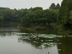 -良渚君澜度假酒店·中餐厅