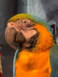 -Zoolung Zoolung动物主题公园(海信广场店)