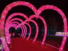 -歌斐颂巧克力小镇