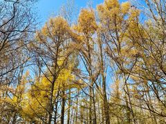 -玉渡山自然风景区