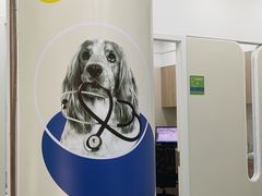 -佩兹宠物医院肿瘤专科·眼科·牙科(黄浦店)