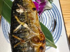 -酒井酱子·深夜食堂(东城汇店)