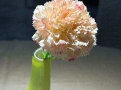 -弘馆·镜湖印象