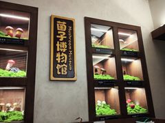 -菌自由丨野生菌火锅特色庭院餐厅(丽江古城店)
