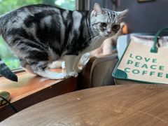 -咖法森林·咖啡  酒吧(天河店)