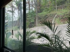 -恬阿姨庭院餐厅·生日宴