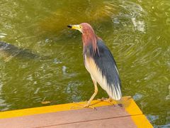 -茂业天地(华强北店)