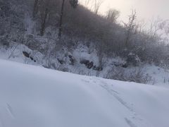 -九皇山景区