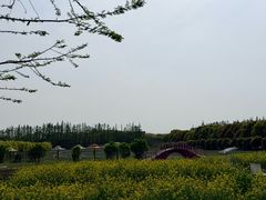 -嘉北郊野公园