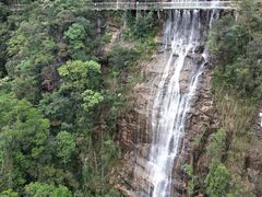 -九龙江国家森林公园