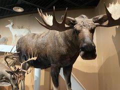 -陕西自然博物馆