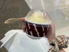 -哈根达斯(济南万象城店)