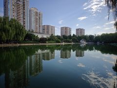 -团结湖公园