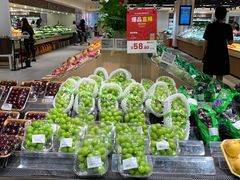 -T11生鲜超市(朝阳公园店)