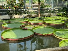 -国家植物园南园