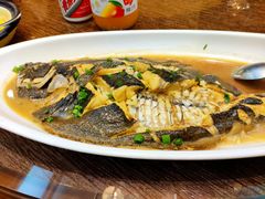 红烧青斑鱼-郑庄脂渣海鲜楼(九水路店)