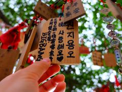 -小洲村