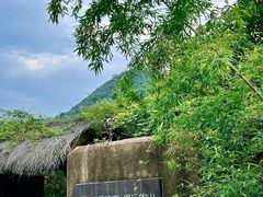 -看见远方·莫干遥远的山民宿