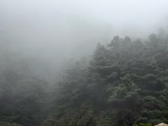-苍山感通索道