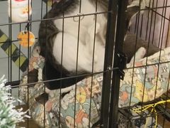 -谜盒子奇幻密室(南屏店)