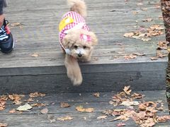 -丹东天桥沟景区